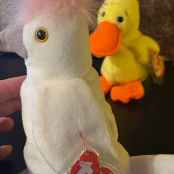 Beanie Babies (4) Total - Picture 9 of 14